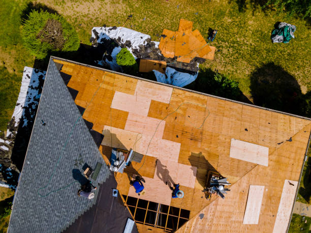 Best Storm Damage Roof Repair  in Spurgeon, TN
